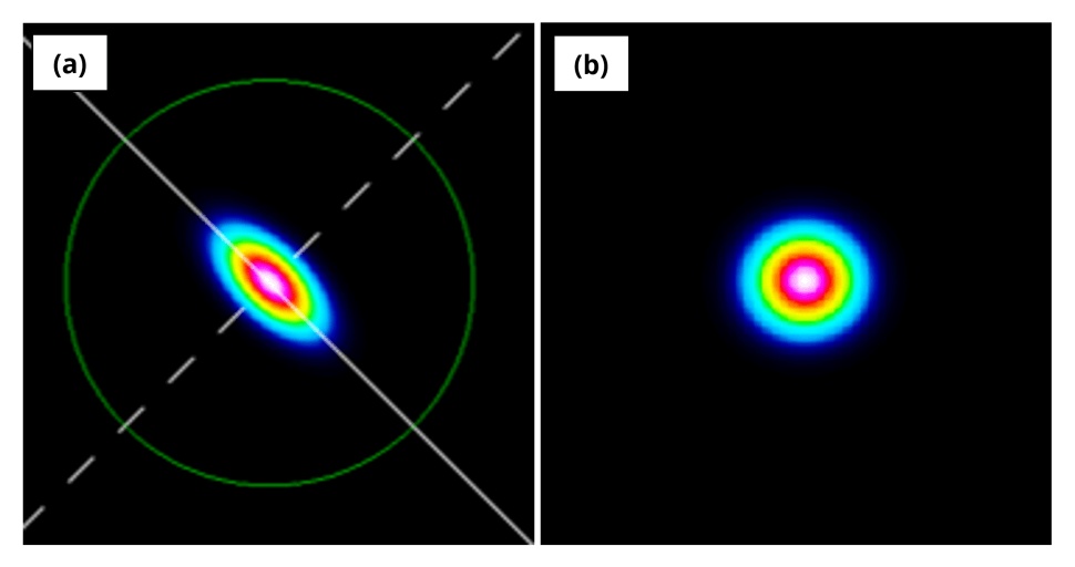 camera, scanning slit, elliptical